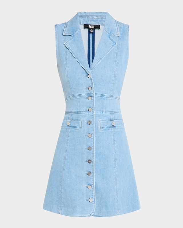 Vida Denim Mini Dress